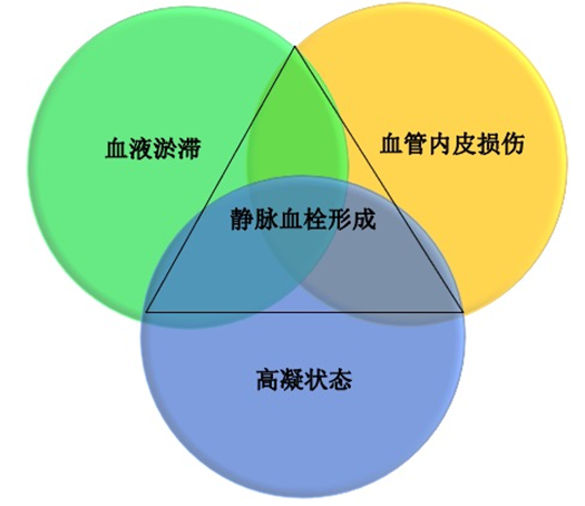 沉默杀手 VTE，如何进行抗凝治疗？三问搞懂