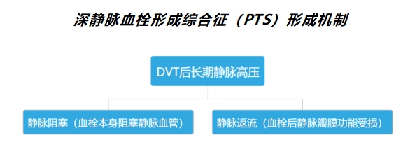 浅谈深静脉血栓后综合征（PTS）